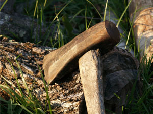 exemple d'un merlin et d'une buche de bois